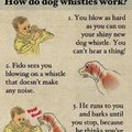 dog whistle logic..