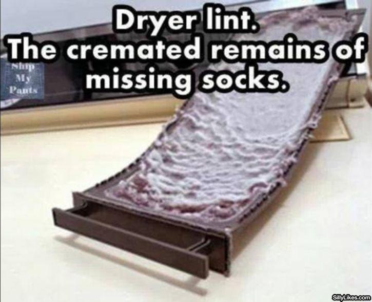 Dryer remains - meme