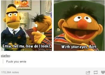 Fucking Ernie - meme