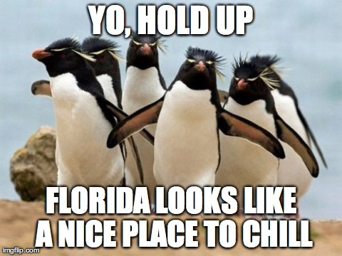 Frozen Florida - meme