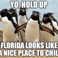 Frozen Florida