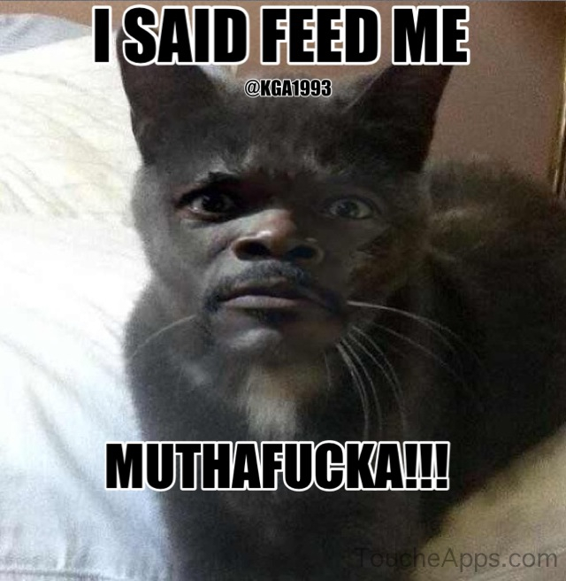Feed him!!! - meme