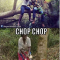 chop im i title  and i help to say more importnt things
