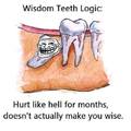 wisdom teeth logic