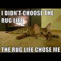 rug life