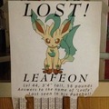 where is my leafeon