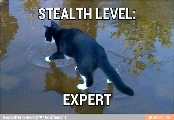 This cat must be a champ at fishing - meme