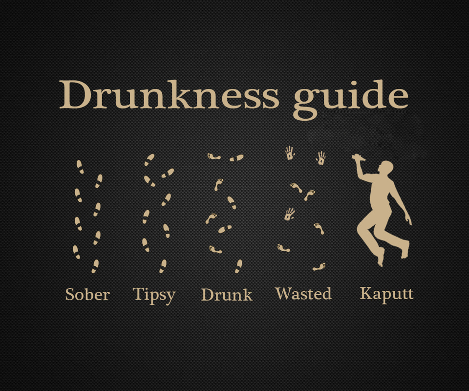 drunkness guide - meme