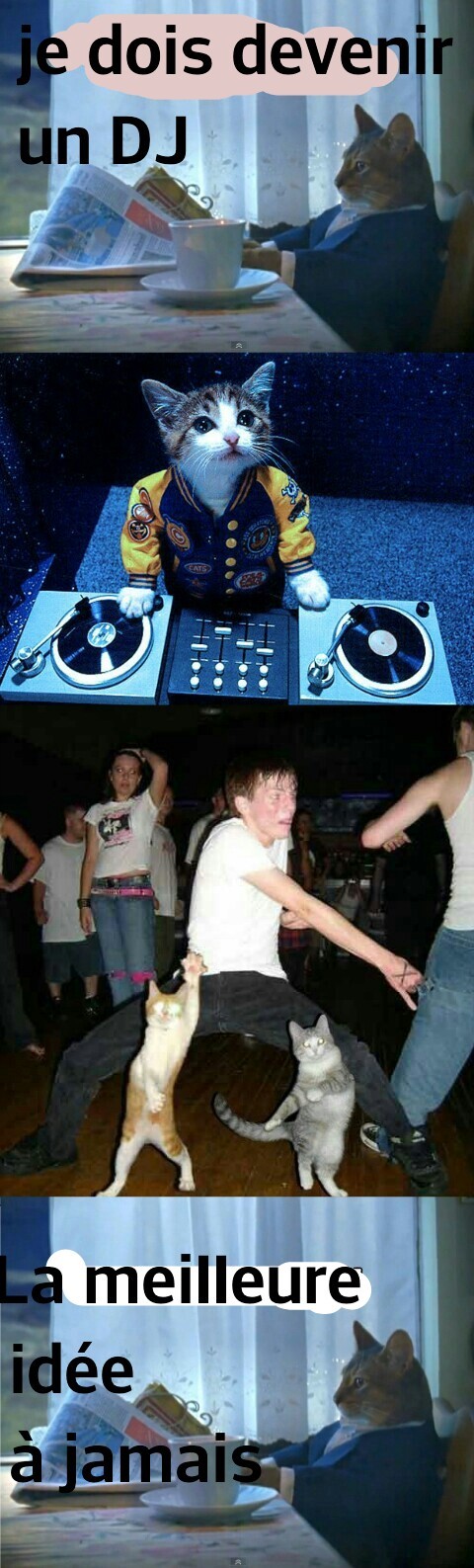 DJ Cat - meme