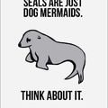 Seals are just dog mermaids