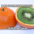 Arancia kiwi