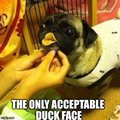 Quack?