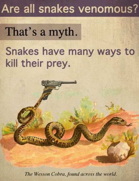 Danger Snakes - meme