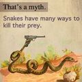 Danger Snakes
