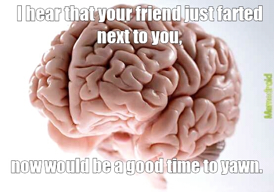 WTF brain!? I just mega inhaled a fart! - meme