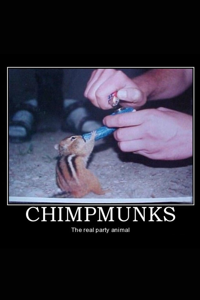 Chimpmunks - meme