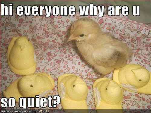 Ducks!! :D - meme