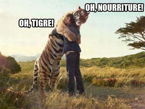 Tigre > All - meme