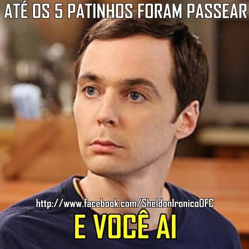 5 patinhos - meme