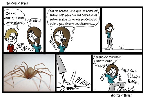 the comic fome - meme
