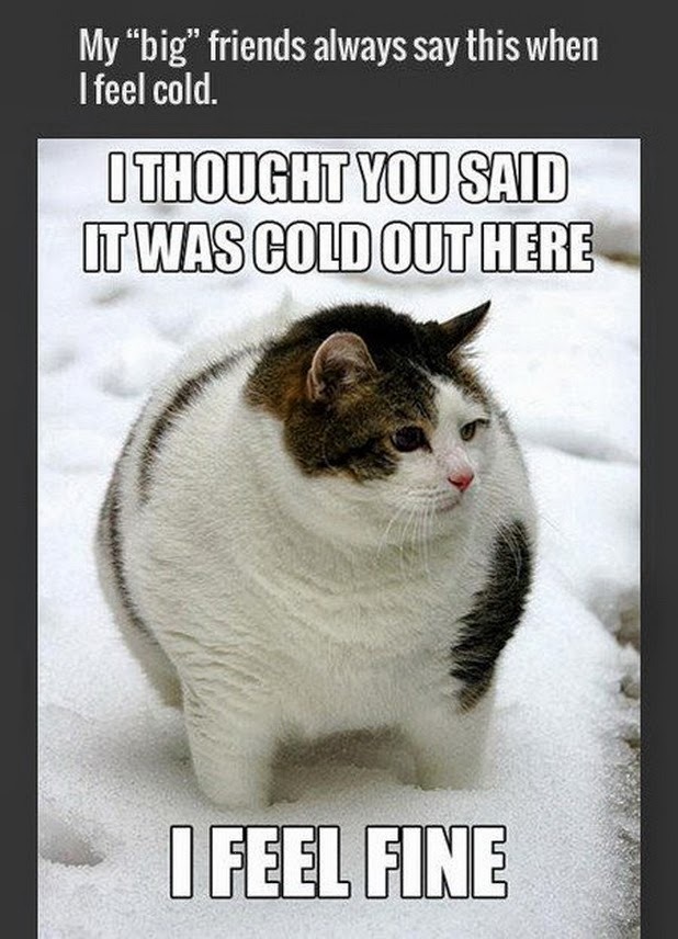 baby its cold outside - meme