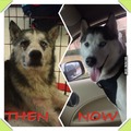 Before and after rescue (Credit: watermark)