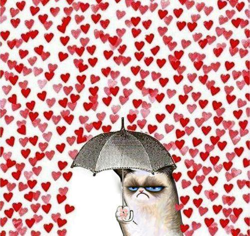 Grumpy Cat this Valentine's Day... - meme