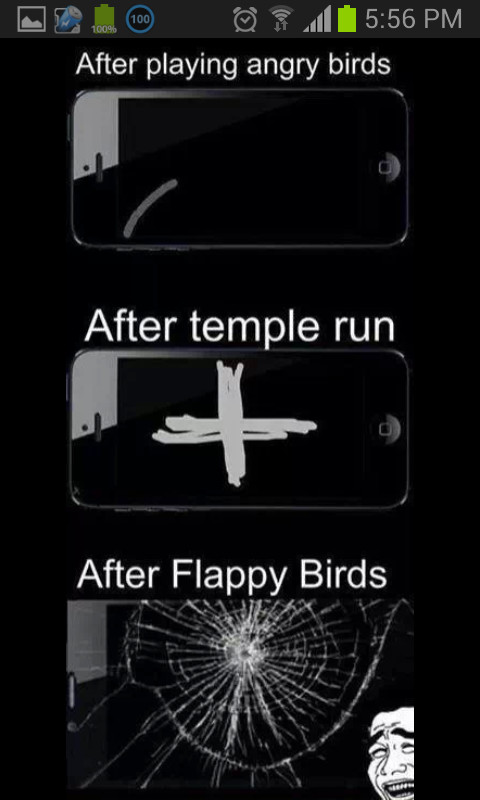 Flappy birds - meme