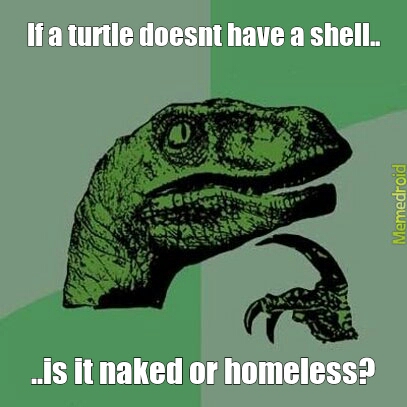 Homeless turtle? - meme
