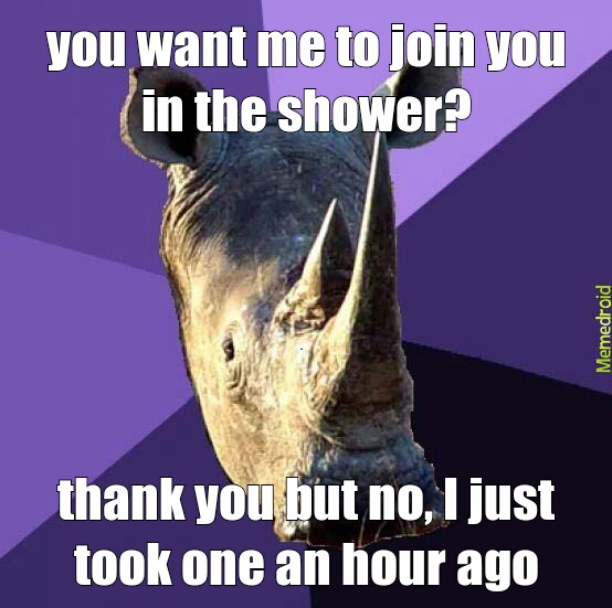 shower rhino - meme