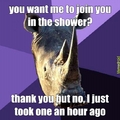 shower rhino