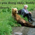 Bad news bear