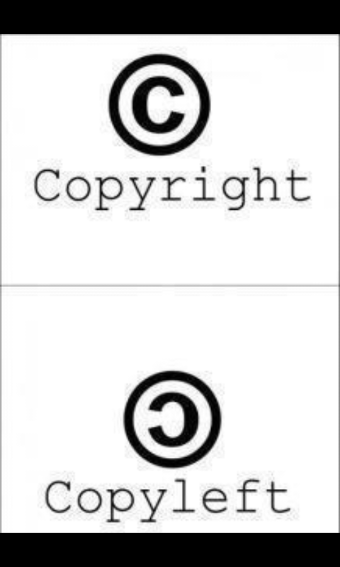 copy right and left - meme