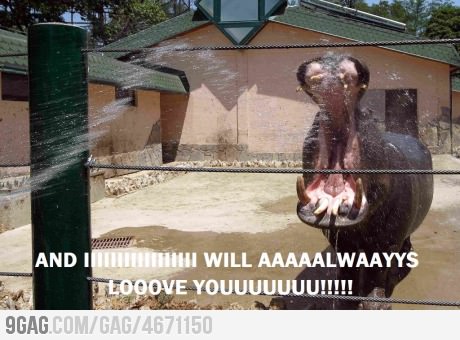 Naaaw, love u to hippo <3 - meme