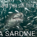 I'm just a sardine