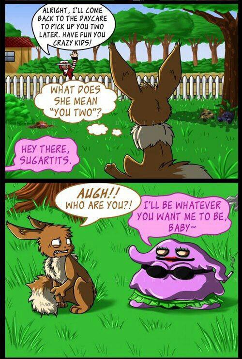 what happens when you breed with a ditto - meme