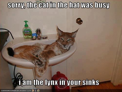 Lynx in sinks. What?? - meme