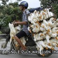 commented item thumbnail