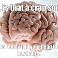 Dat brain