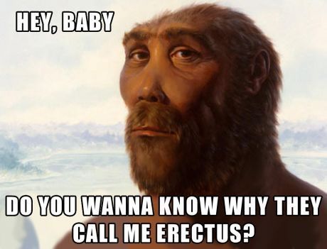 erectus - meme