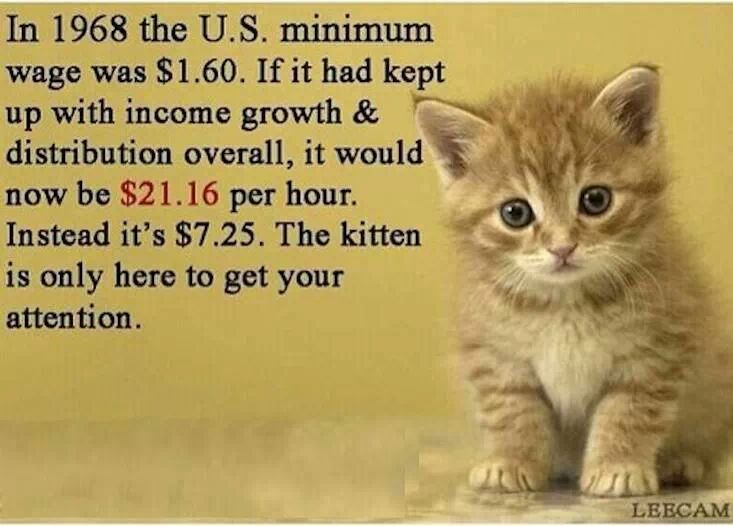 3rd comment probably makes minimum wage - meme