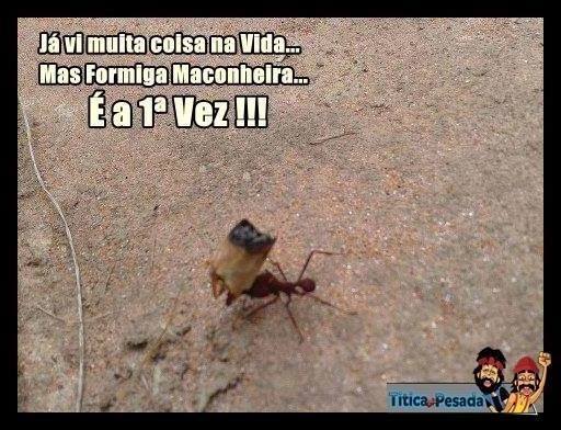 Fino senhores - Meme by FormigaSUS :) Memedroid