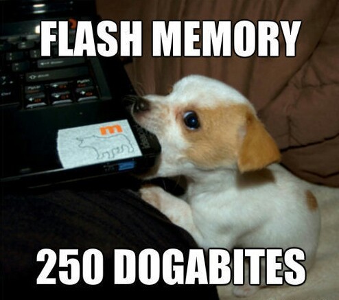 250 Dogabites - meme