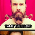 TAME YOUR BEARD BRO!   IMAGES ARE BORROWED, BUT MEME IS ORIGINAL