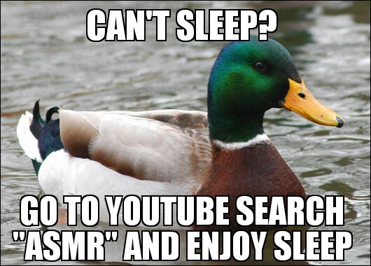 ASMR will help you sleep - meme