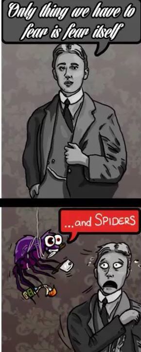 spider's - meme