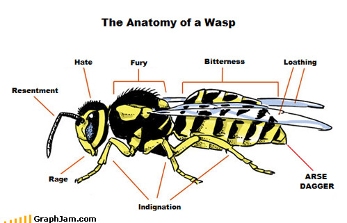 Wasps are Assholes - meme