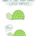 So tiny turtle?