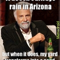 my fellow arizonians, you know what I'm talking about