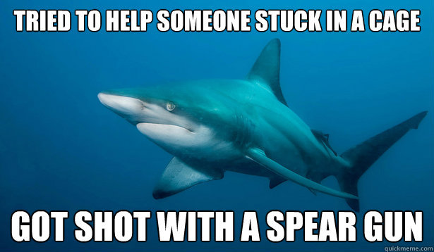misunderstood shark - meme